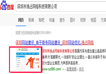 網站建設-獨占網絡