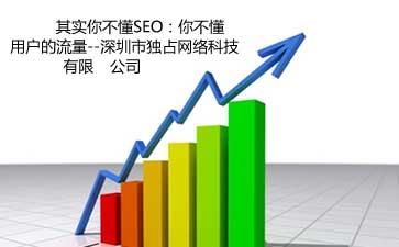 網站建設-獨占網絡