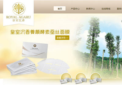 深圳網(wǎng)站建設(shè)案例(深圳市皇室沉香化妝品有限公司)