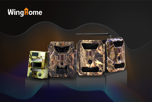 深圳網(wǎng)站建設(shè)案例(“WingHome” company)